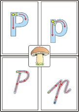 Fenster SAS P.pdf